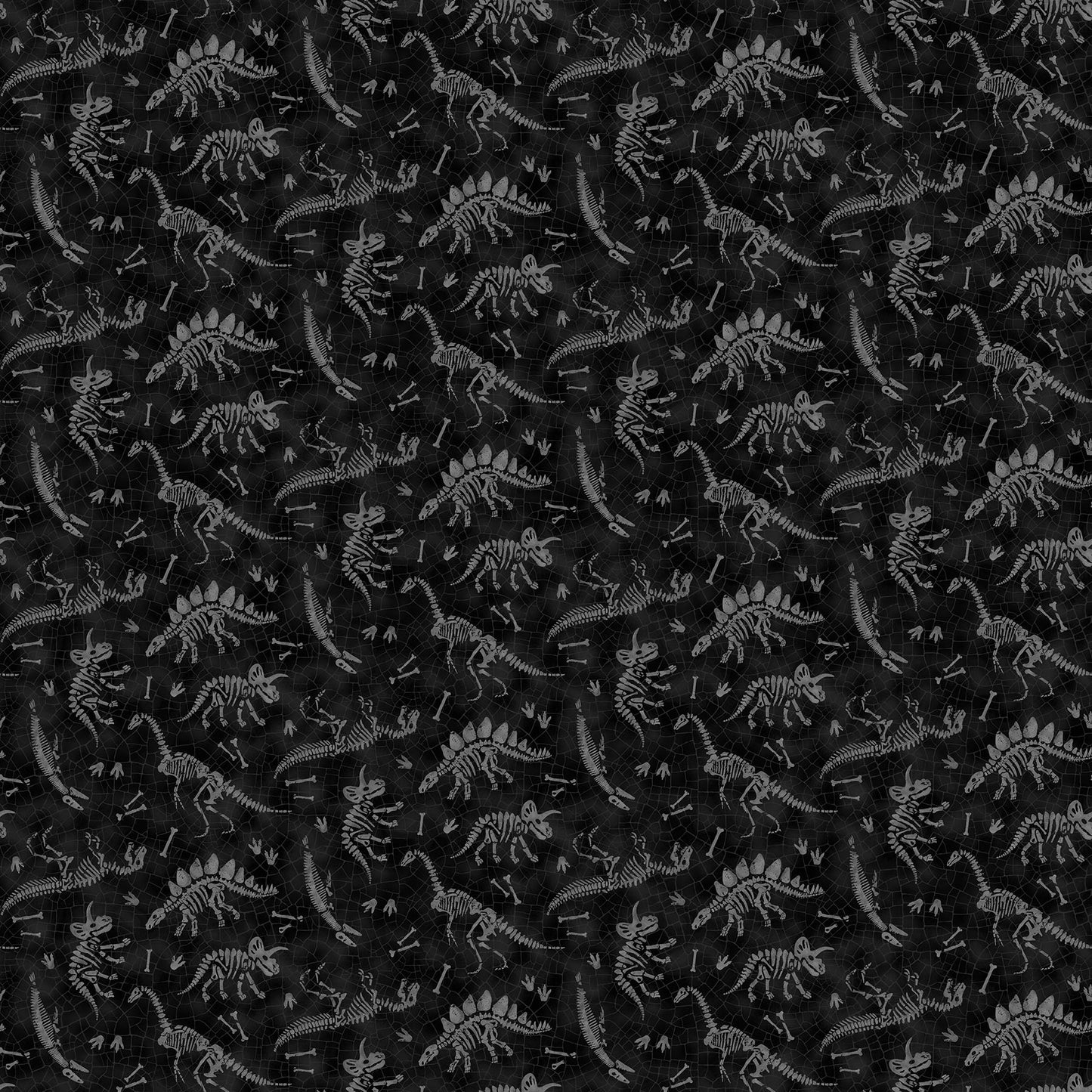 Paleo Tales - Dino Fossils in Black