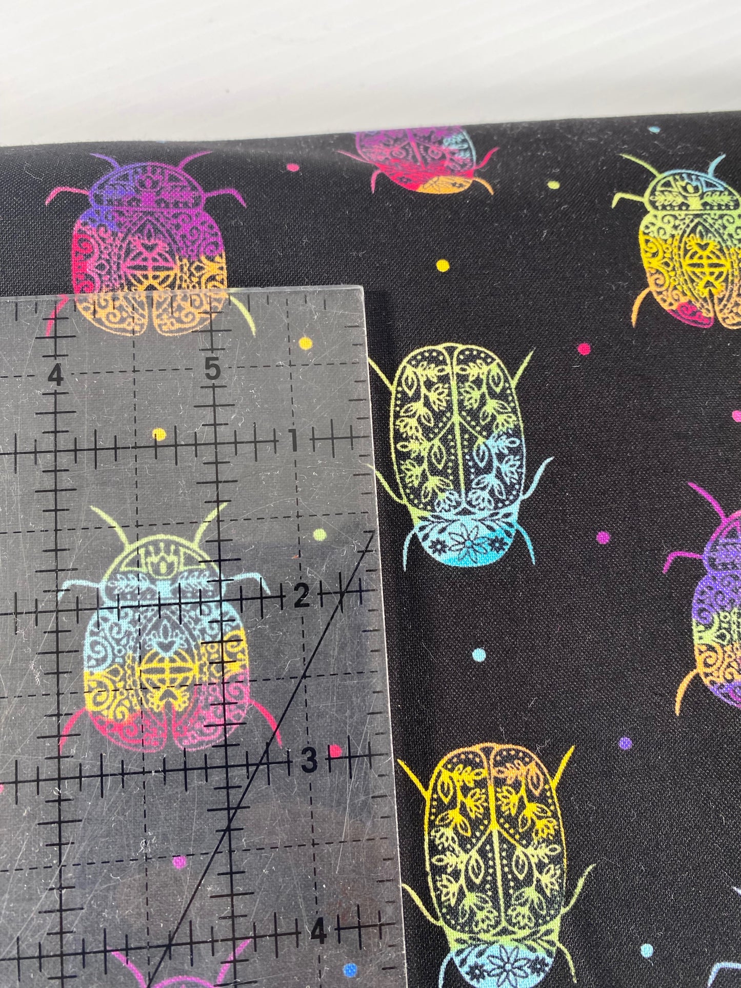 Rainbow Garden - Rainbow Bugs in Black