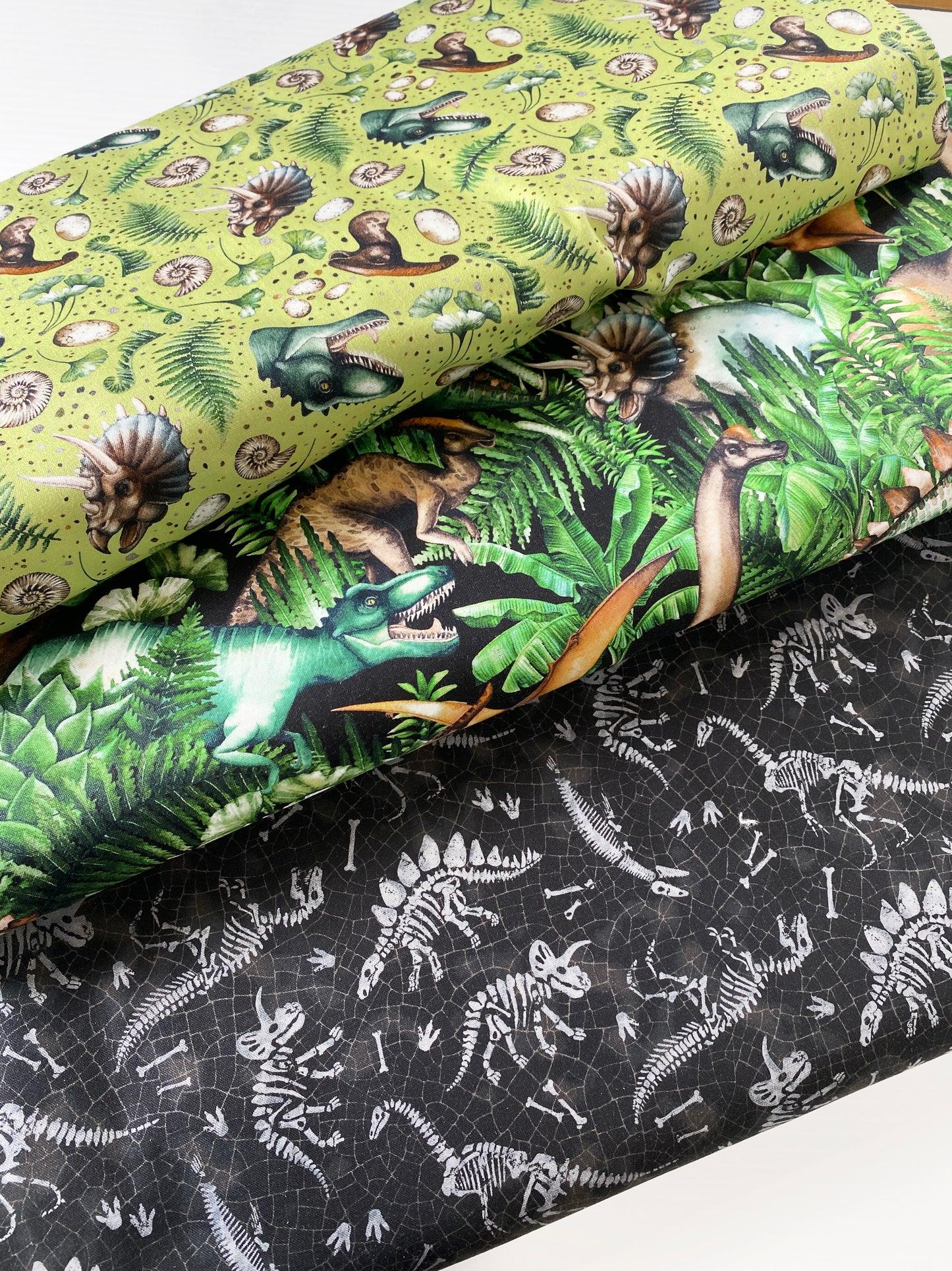 Paleo Tales - Dino Jungle in Black Multi