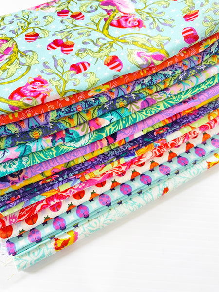 Personal collection - Tula Pink TINY BEASTS half yard bundle