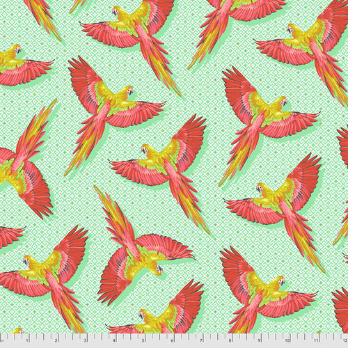 SALE Tula Pink Daydreamer - Macaw Ya Later in Mango